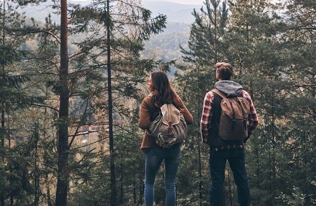 Forest hiking